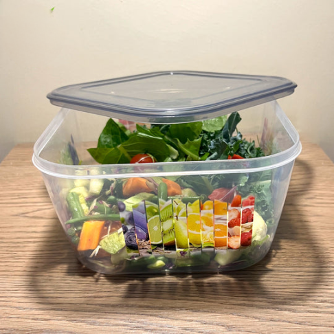 Pack Of 2 Square Food Storage Box