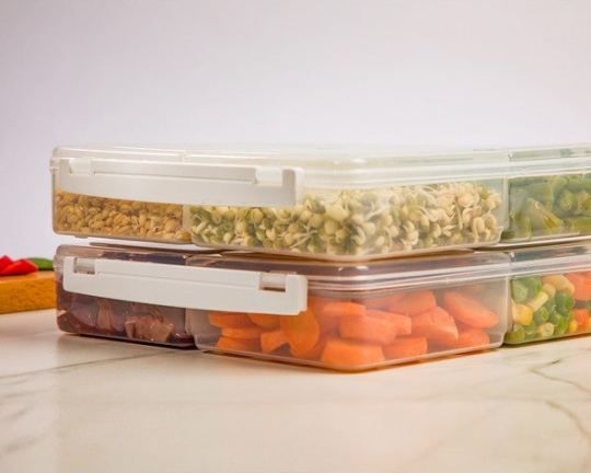 4 Section Food Container With Lids