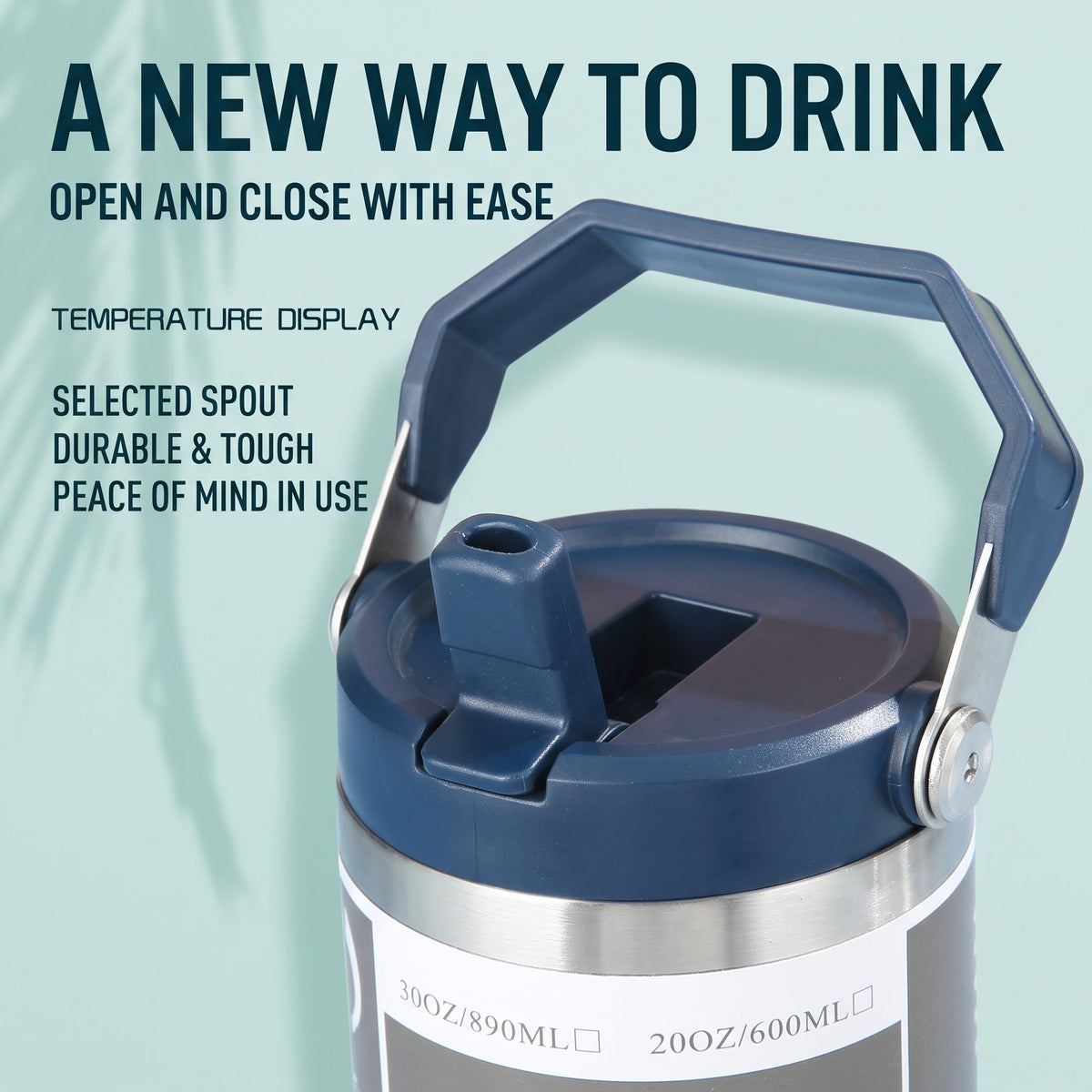 Stainless Steel Tumbler With Handle & Straw 890ML