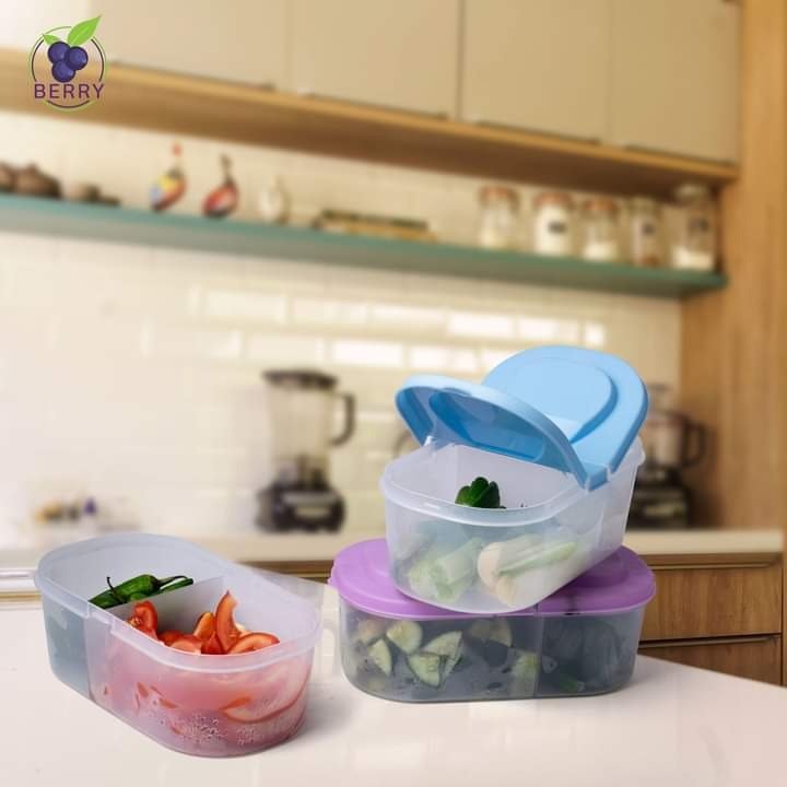 Splash Dual Compartment Food container - Pack Of 2 - Duvera