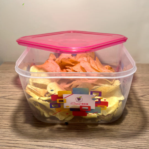 Pack Of 2 Square Food Storage Box