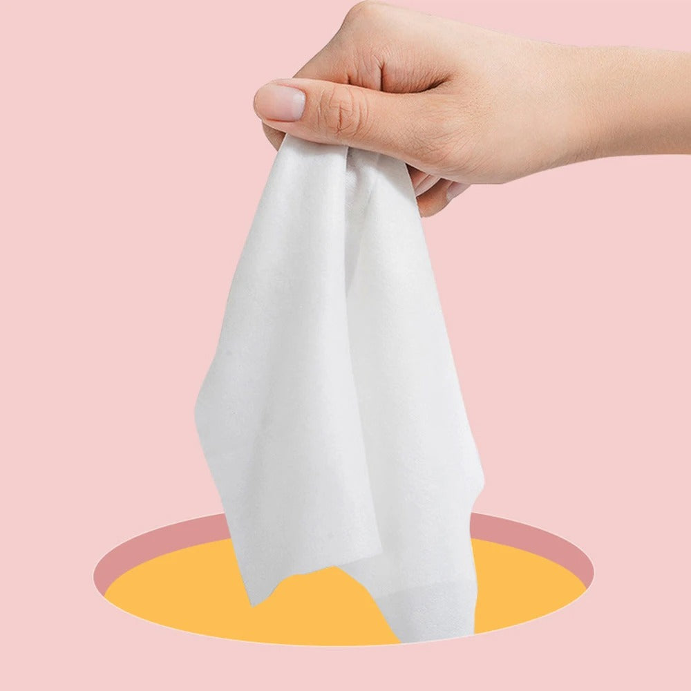 Pocket Size Portable Cleaning Wipes (64PCs)