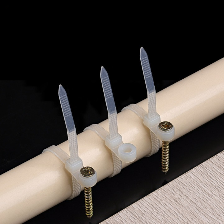 Screw Hole Mount Nylon Cable Tie