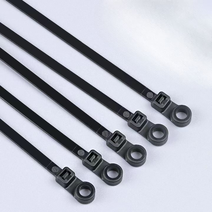 Screw Hole Mount Nylon Cable Tie