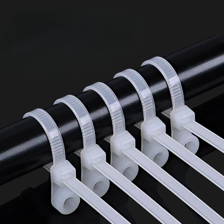 Screw Hole Mount Nylon Cable Tie