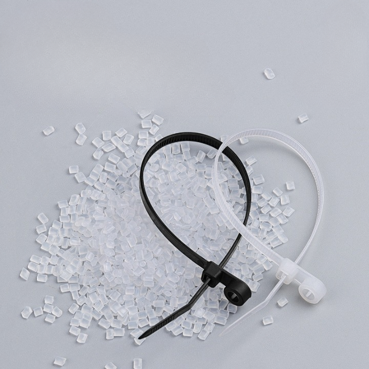 Screw Hole Mount Nylon Cable Tie