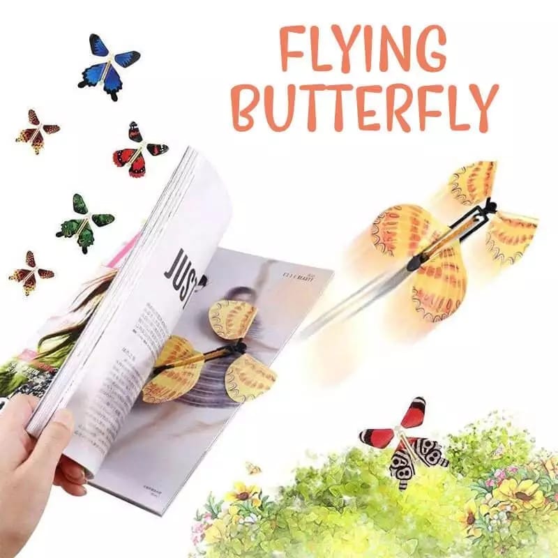 Flying Butterfly - Pack of 2 - Duvera
