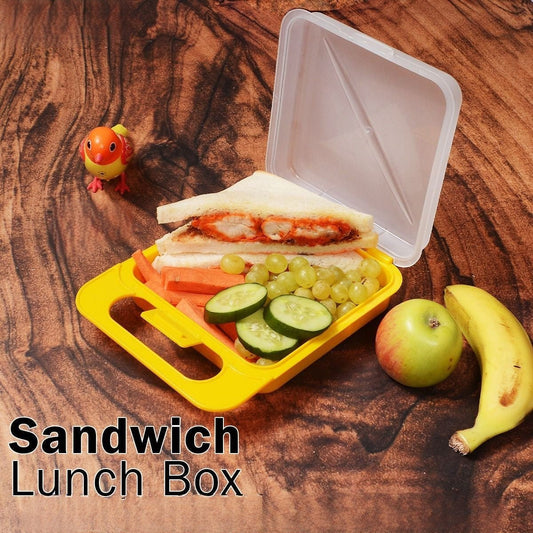 Lunch Box Set With Fork. - Duvera