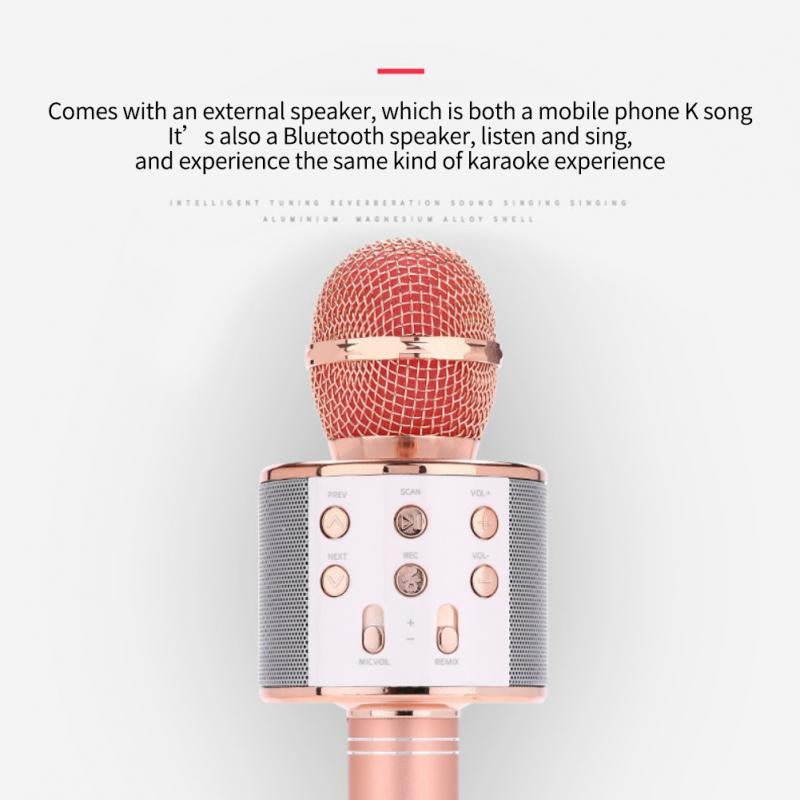 Wireless Microphone Hifi Speaker. - Duvera
