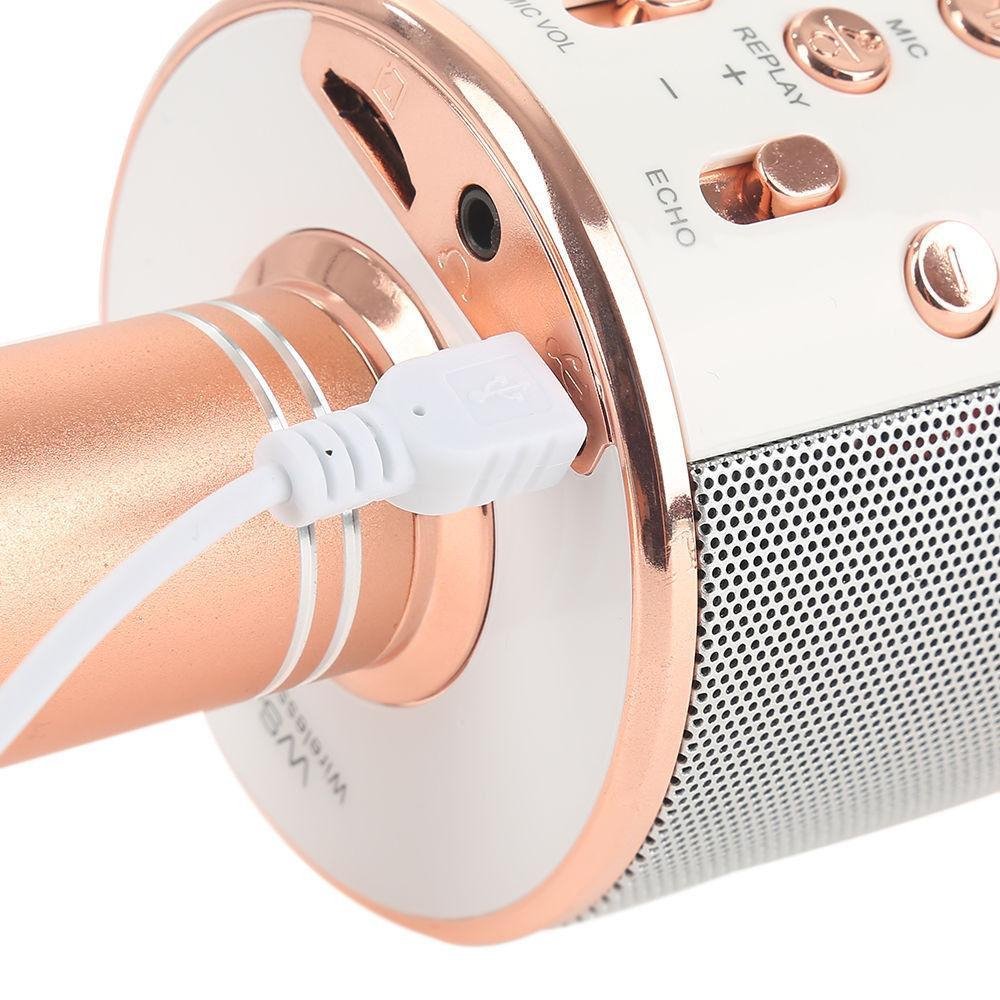 Wireless Microphone Hifi Speaker. - Duvera