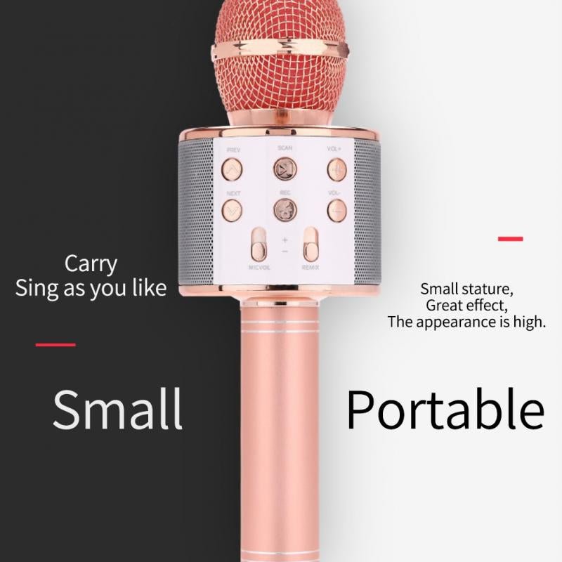 Wireless Microphone Hifi Speaker. - Duvera